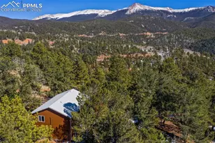 493 Horseshoe Dr, Divide, CO 80814 - Photo 45