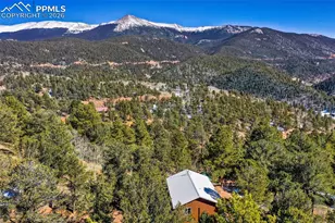 493 Horseshoe Dr, Divide, CO 80814 - Photo 7
