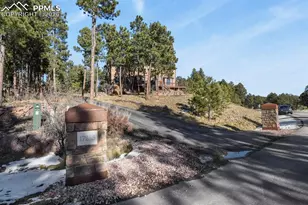 17255 Lamplight Dr, Monument, CO 80132 - Photo 49