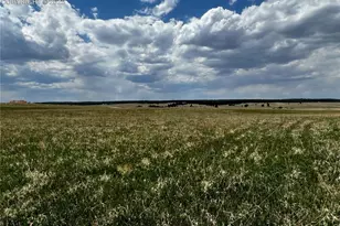 11970 Woodridge Terrace, Colorado Springs, CO 80908 - Photo 17