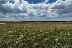 11970 Woodridge Terrace, Colorado Springs, CO 80908 - Photo 11