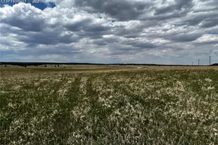 11970 Woodridge Terrace, Colorado Springs, CO 80908 - Photo 13