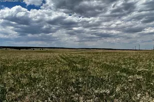 11970 Woodridge Terrace, Colorado Springs, CO 80908 - Photo 17