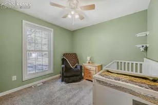 1005 W Browning Ave, Woodland Park, CO 80863 - Photo 17