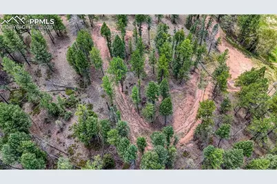 18 Falcon Circle, Florissant, CO 80816 - Photo 23