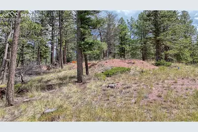 18 Falcon Circle, Florissant, CO 80816 - Photo 9