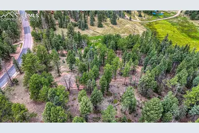 18 Falcon Circle, Florissant, CO 80816 - Photo 29