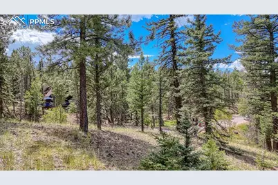 18 Falcon Circle, Florissant, CO 80816 - Photo 1