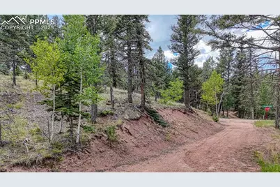 18 Falcon Circle, Florissant, CO 80816 - Photo 5