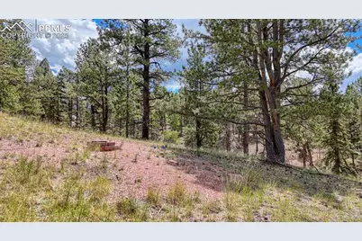 18 Falcon Circle, Florissant, CO 80816 - Photo 7