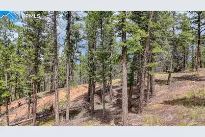 18 Falcon Circle, Florissant, CO 80816 - Photo 11