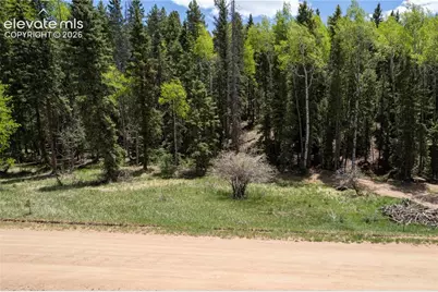 546 Spring Valley Lane, Florissant, CO 80816 - Photo 13