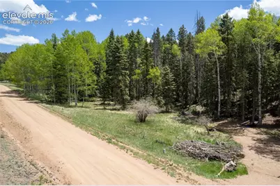 546 Spring Valley Lane, Florissant, CO 80816 - Photo 3