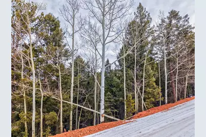 165 Witherite Drive, Divide, CO 80814 - Photo 3