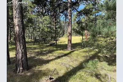 17405 E Goshawk Road, Colorado Springs, CO 80908 - Photo 7