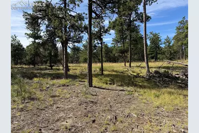 17405 E Goshawk Road, Colorado Springs, CO 80908 - Photo 3