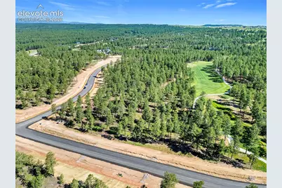 14431 Quartz Creek Drive, Colorado Springs, CO 80908 - Photo 3