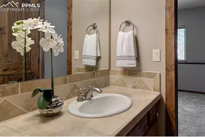 4070 Wavy Oak Drive, Colorado Springs, CO 80908 - Photo 29