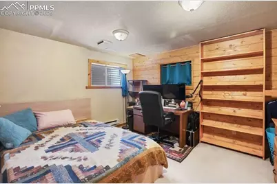 79 Beaver Creek Circle, Florissant, CO 80816 - Photo 19