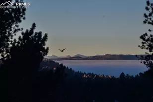 79 Beaver Creek Cir, Florissant, CO 80816 - Photo 29