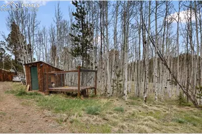79 Beaver Creek Circle, Florissant, CO 80816 - Photo 25