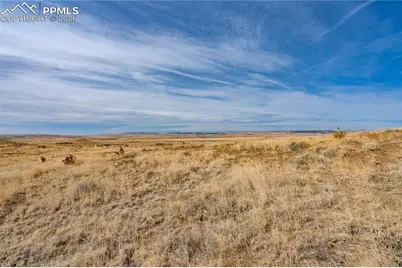 5975 Rattlesnake Point, Fountain, CO 80817 - Photo 19