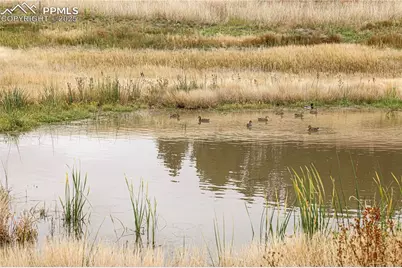 8115 Mustang Road, Colorado Springs, CO 80908 - Photo 5