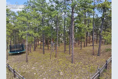 1360 Pawprint Court, Colorado Springs, CO 80921 - Photo 11