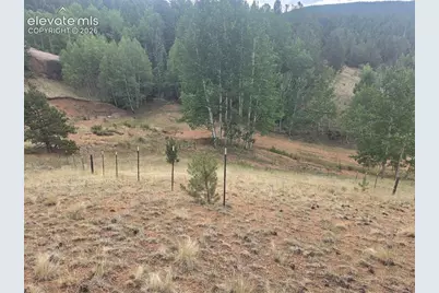 1124 Yorktown Road, Cripple Creek, CO 80813 - Photo 11