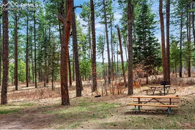 8912 S Pine Drive, Beulah, CO 81023 - Photo 45