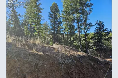 652 Derby Drive, Cripple Creek, CO 80813 - Photo 7