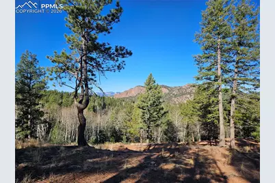 652 Derby Drive, Cripple Creek, CO 80813 - Photo 11