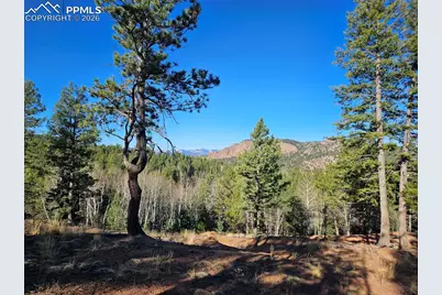 652 Derby Drive, Cripple Creek, CO 80813 - Photo 9