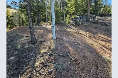 652 Derby Drive, Cripple Creek, CO 80813 - Photo 15