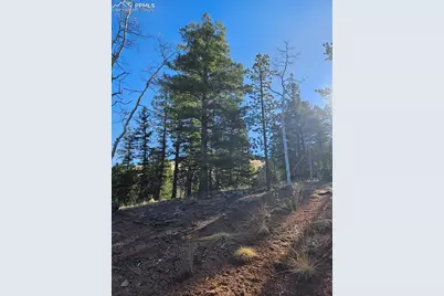 652 Derby Drive, Cripple Creek, CO 80813 - Photo 21