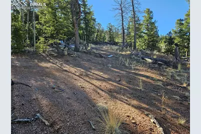 652 Derby Drive, Cripple Creek, CO 80813 - Photo 27