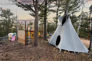 516 Saguache Dr, Florissant, CO 80816 - Photo 31