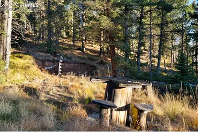 516 Saguache Drive, Florissant, CO 80816 - Photo 33