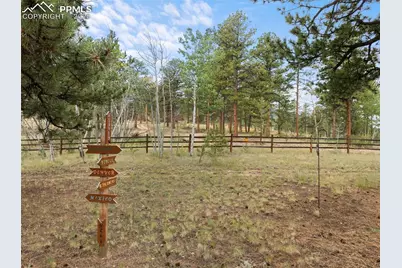 334 Pulver Road, Lake George, CO 80827 - Photo 43