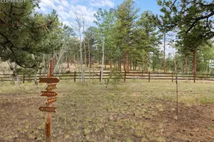 334 Pulver Rd, Lake George, CO 80827 - Photo 43