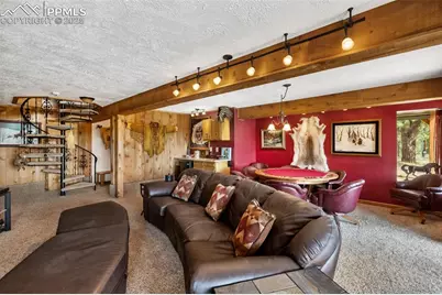 334 Pulver Road, Lake George, CO 80827 - Photo 25