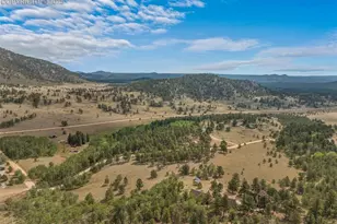 334 Pulver Rd, Lake George, CO 80827 - Photo 45