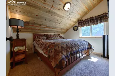 334 Pulver Road, Lake George, CO 80827 - Photo 37