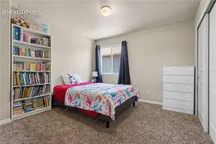 6598 Alliance Loop, Colorado Springs, CO 80925 - Photo 25