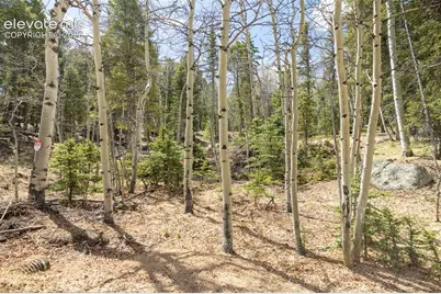 714 Will Stutley Drive, Divide, CO 80814 - Photo 27