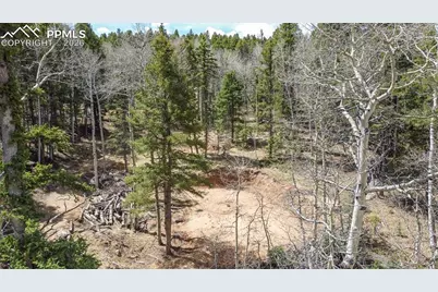 714 Will Stutley Drive, Divide, CO 80814 - Photo 11