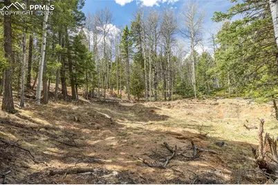 714 Will Stutley Drive, Divide, CO 80814 - Photo 9