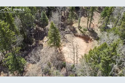 714 Will Stutley Drive, Divide, CO 80814 - Photo 13