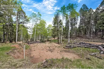 714 Will Stutley Drive, Divide, CO 80814 - Photo 15