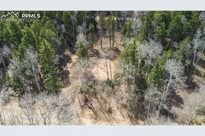 714 Will Stutley Drive, Divide, CO 80814 - Photo 19